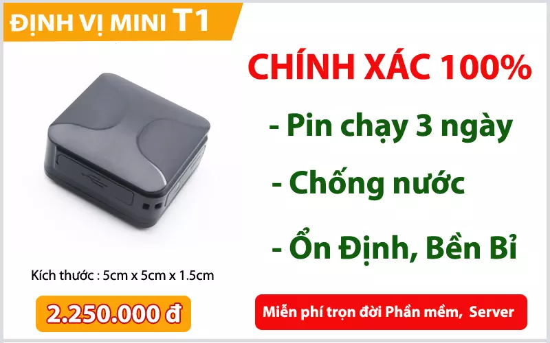 2019 dinh vi mini t1